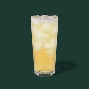 Starbucks Iced Green Tea