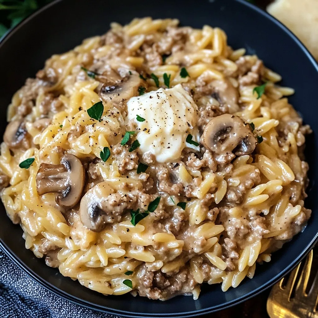 Creamy Ground Turkey and Mushroom Orzo