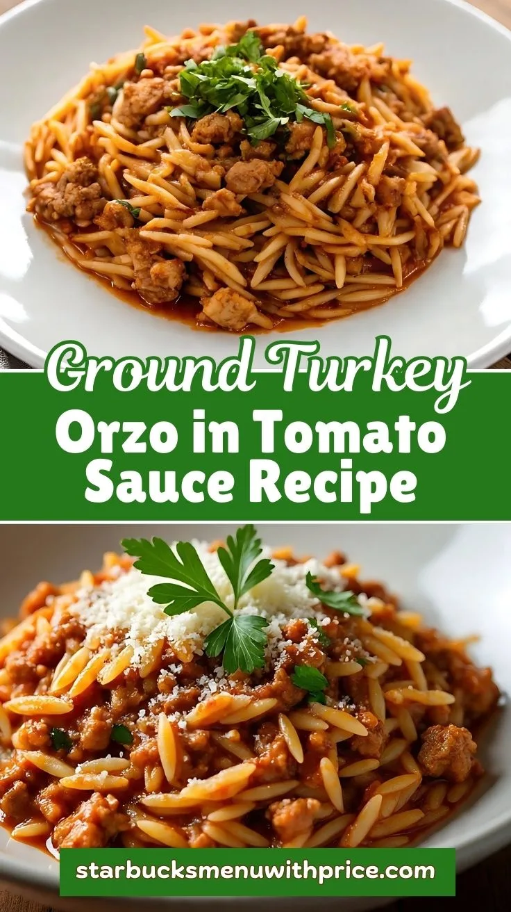 Ground Turkey Orzo in Tomato Sauce Recipe